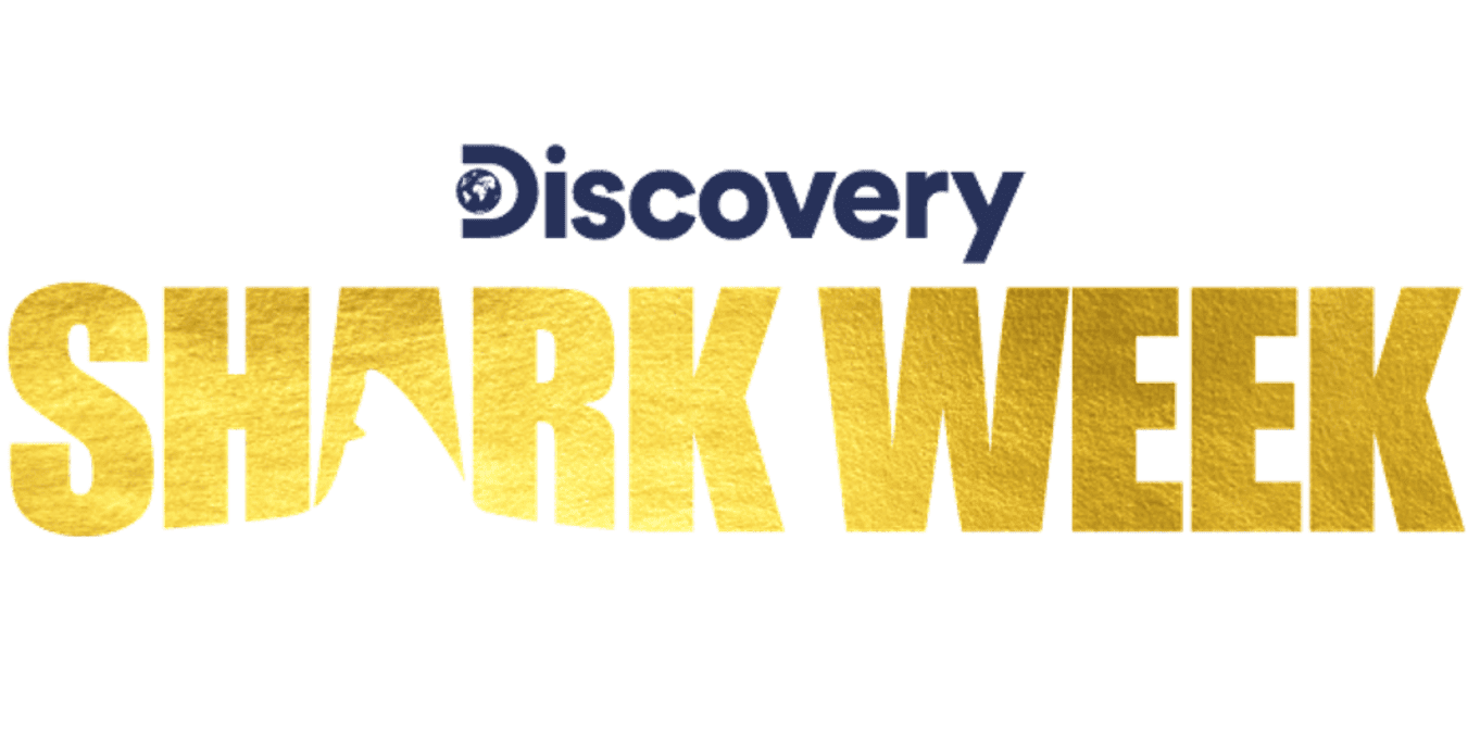 How to Watch Shark Week Online (2023): Discovery Channel Without Cable