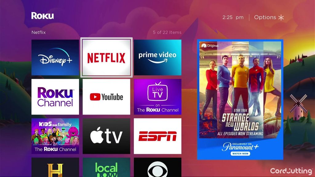 Roku Streaming Stick Apps