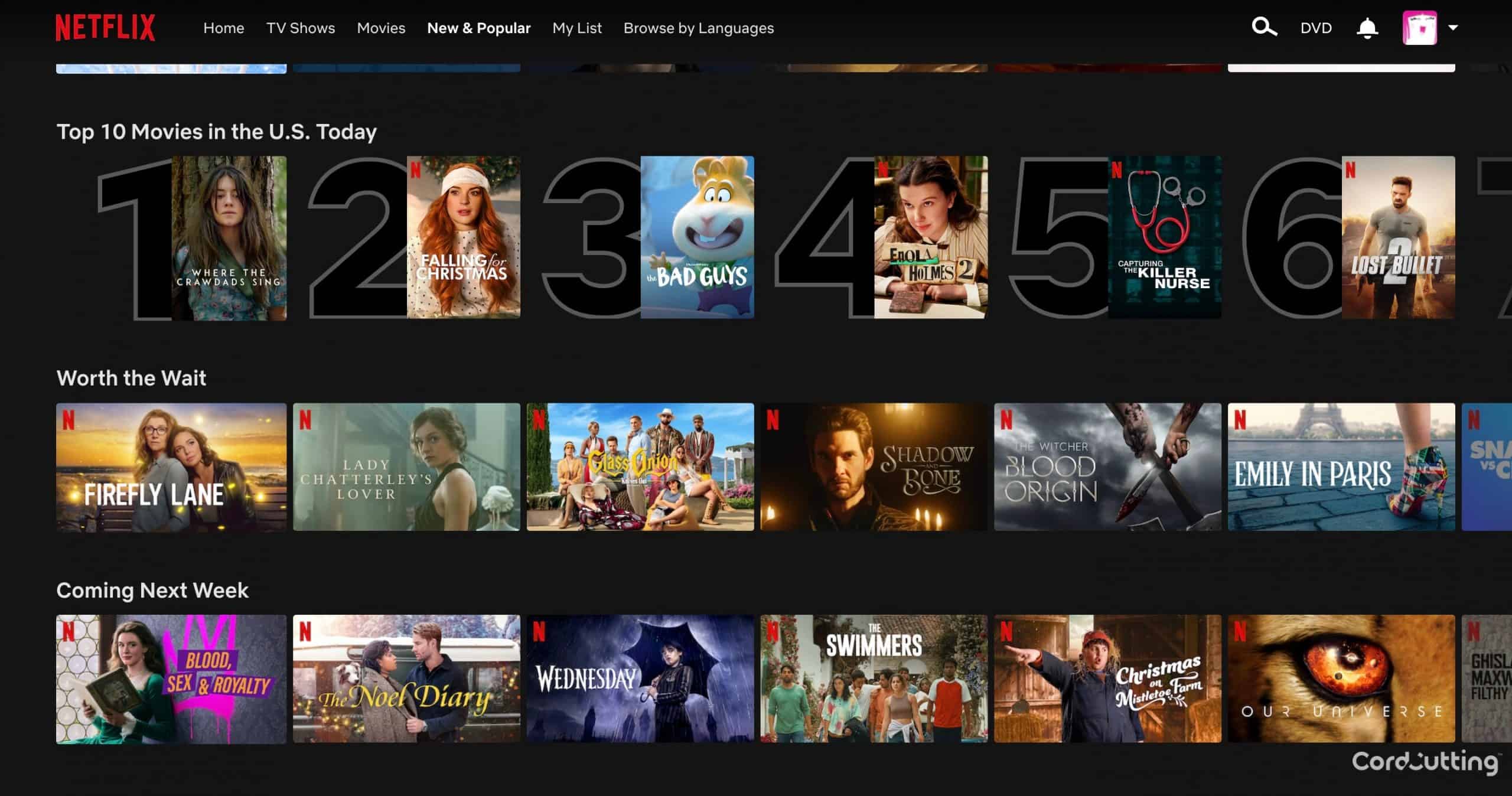 Netflix home screen page on Apple MacBook