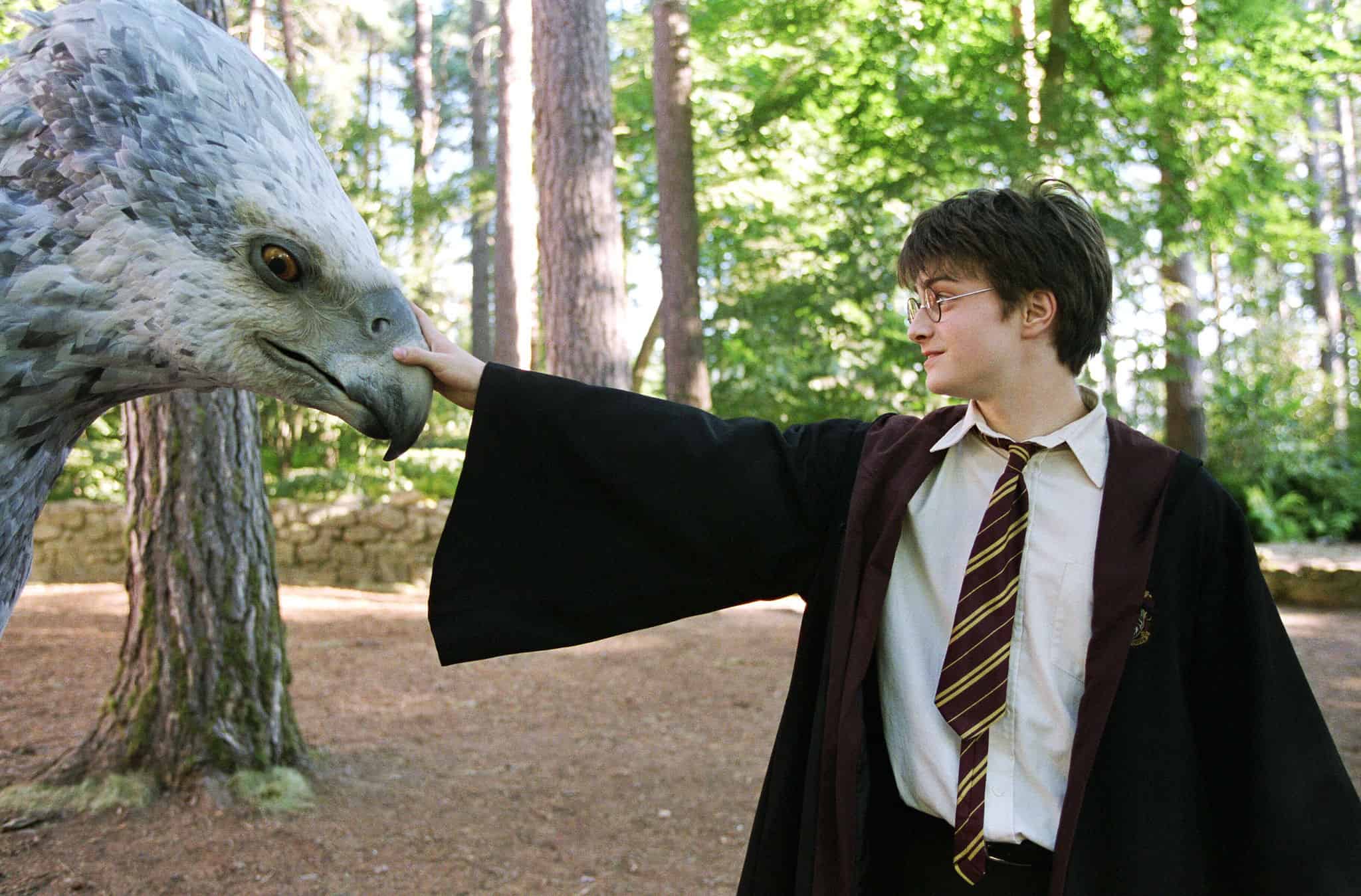 Harry pets Buckbeak in the woods