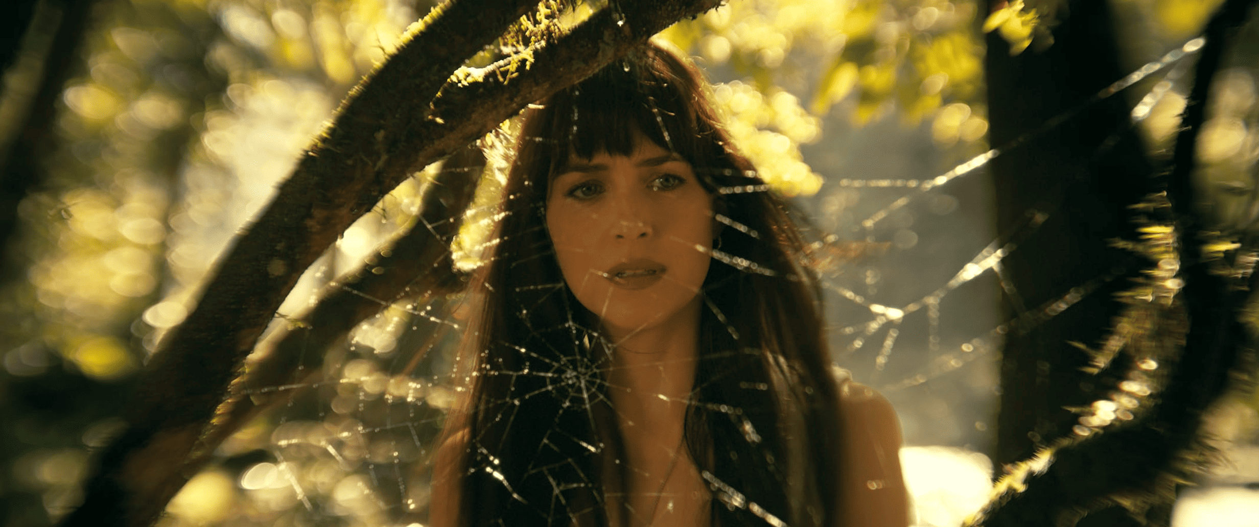  A woman stands behind a spider web in this image from Columbia Pictures. 