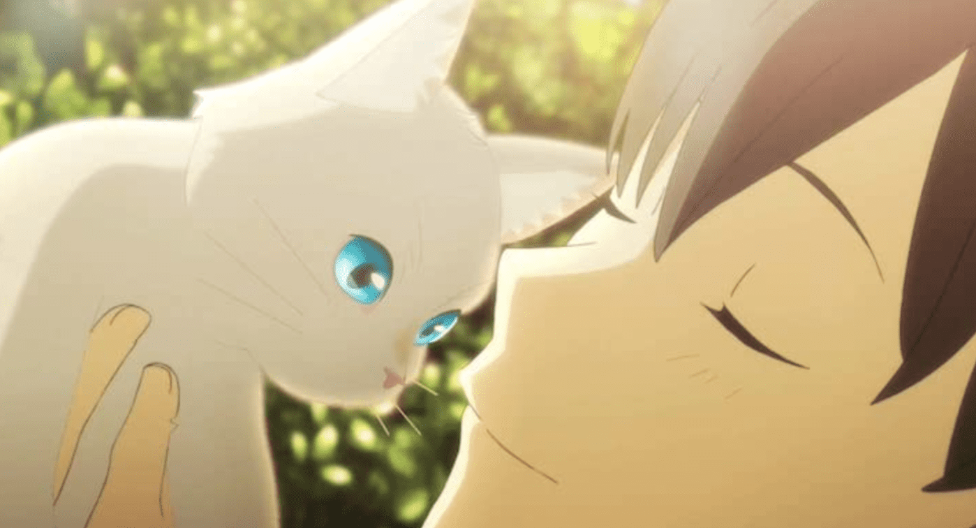  A white cat with blue eyes and a young boy holding it in this image from Netflix