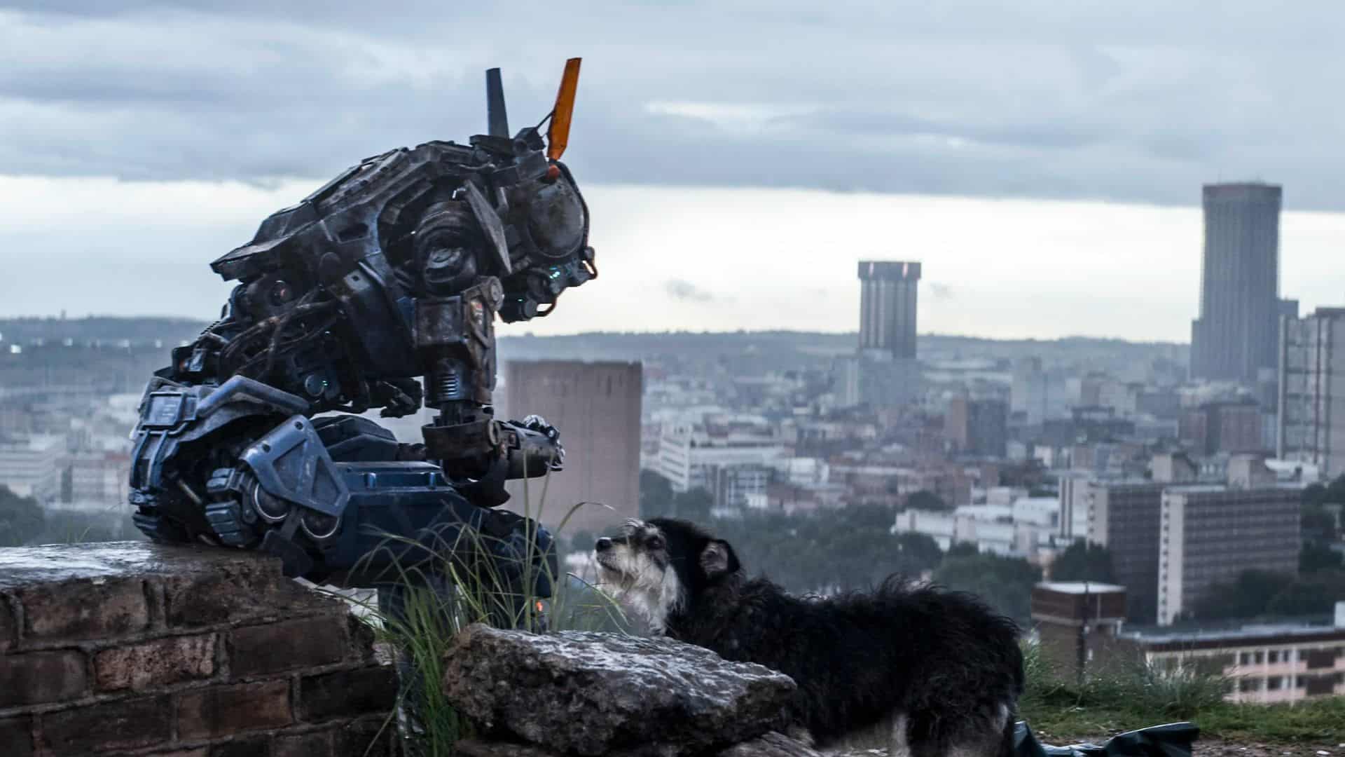 Chappie sits with a dog while overlooking the city in this image from Amazon Prime Video.