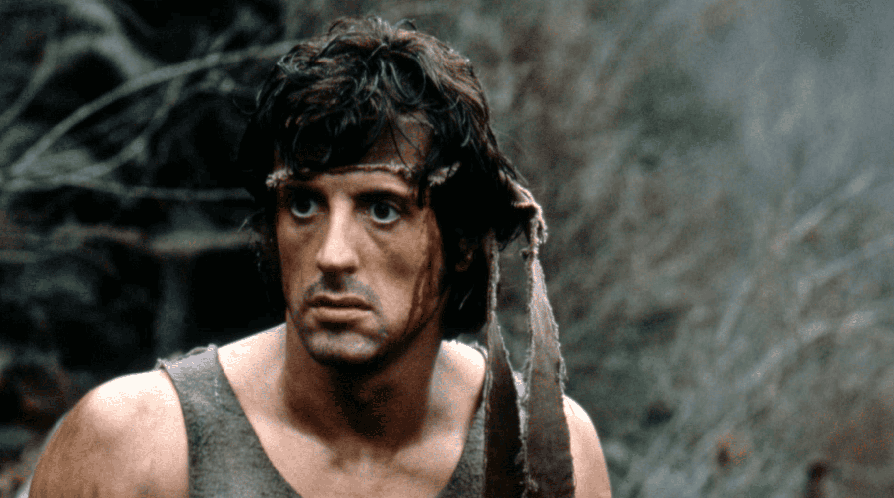 Why We Can Definitely Say These 6 Actors Were Better Than Sylvester Stallone