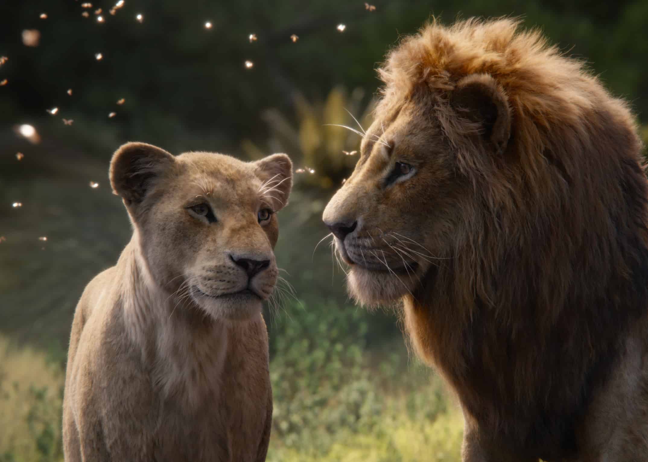 CGI Nala and Simba in this image from Walt Disney Studios Motion Pictures