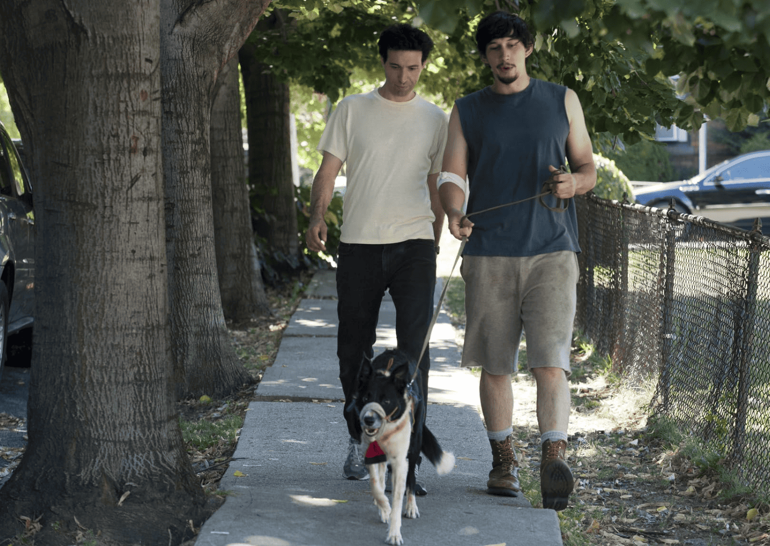 Ray and Adam walk a muzzled dog in this image from Apatow Productions