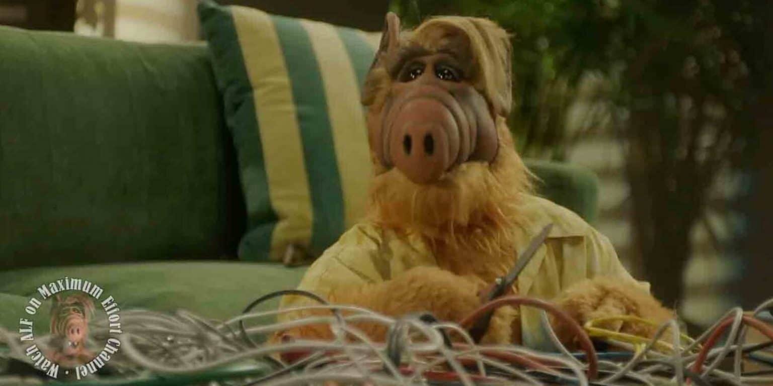 Alf And Why Were Excited For His Return 