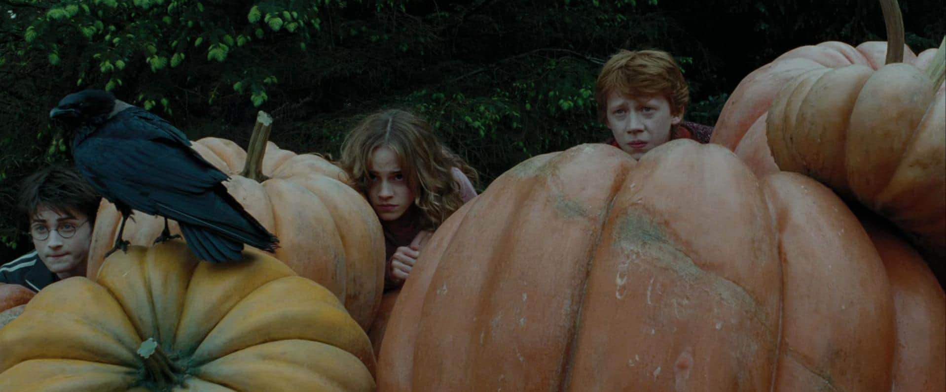 Daniel Radcliffe, Emma Watson, and Rupert Grint in this image from Warner Bros. Pictures