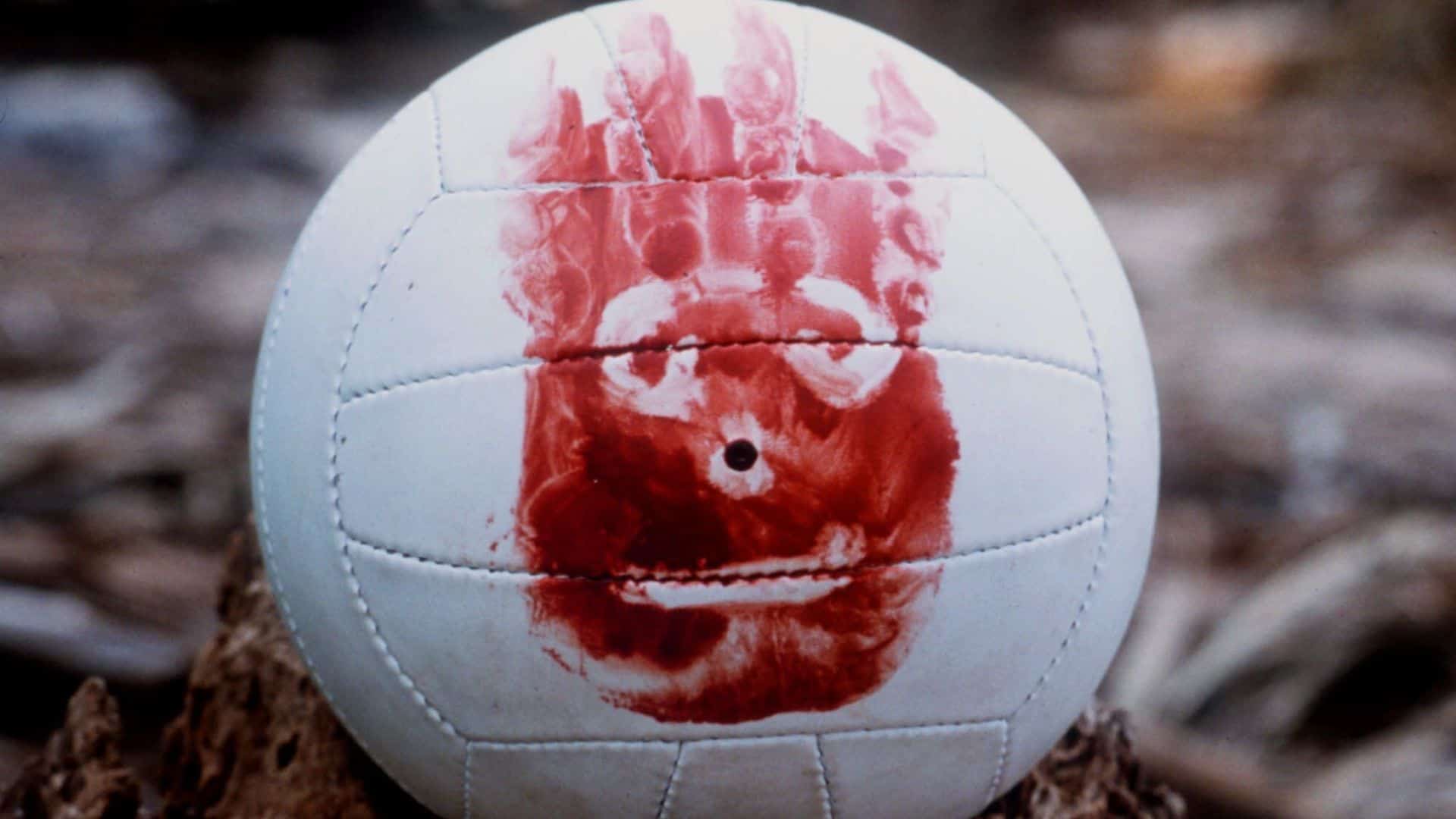  A close-up of Wilson the Volleyball in this image from DreamWorks Pictures.