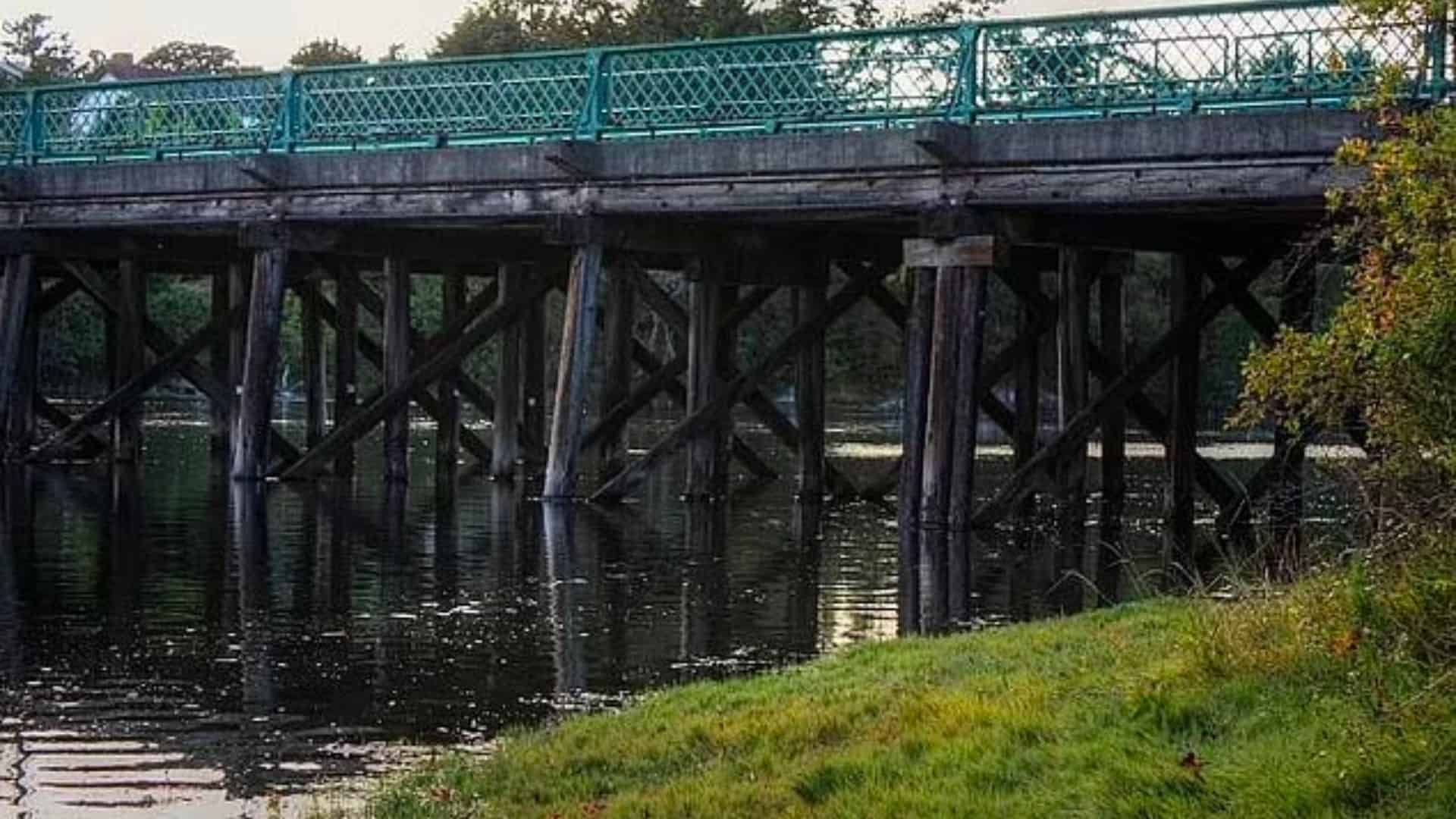 Bridge in Saanich, British Columbia in this image from Daily Mail.