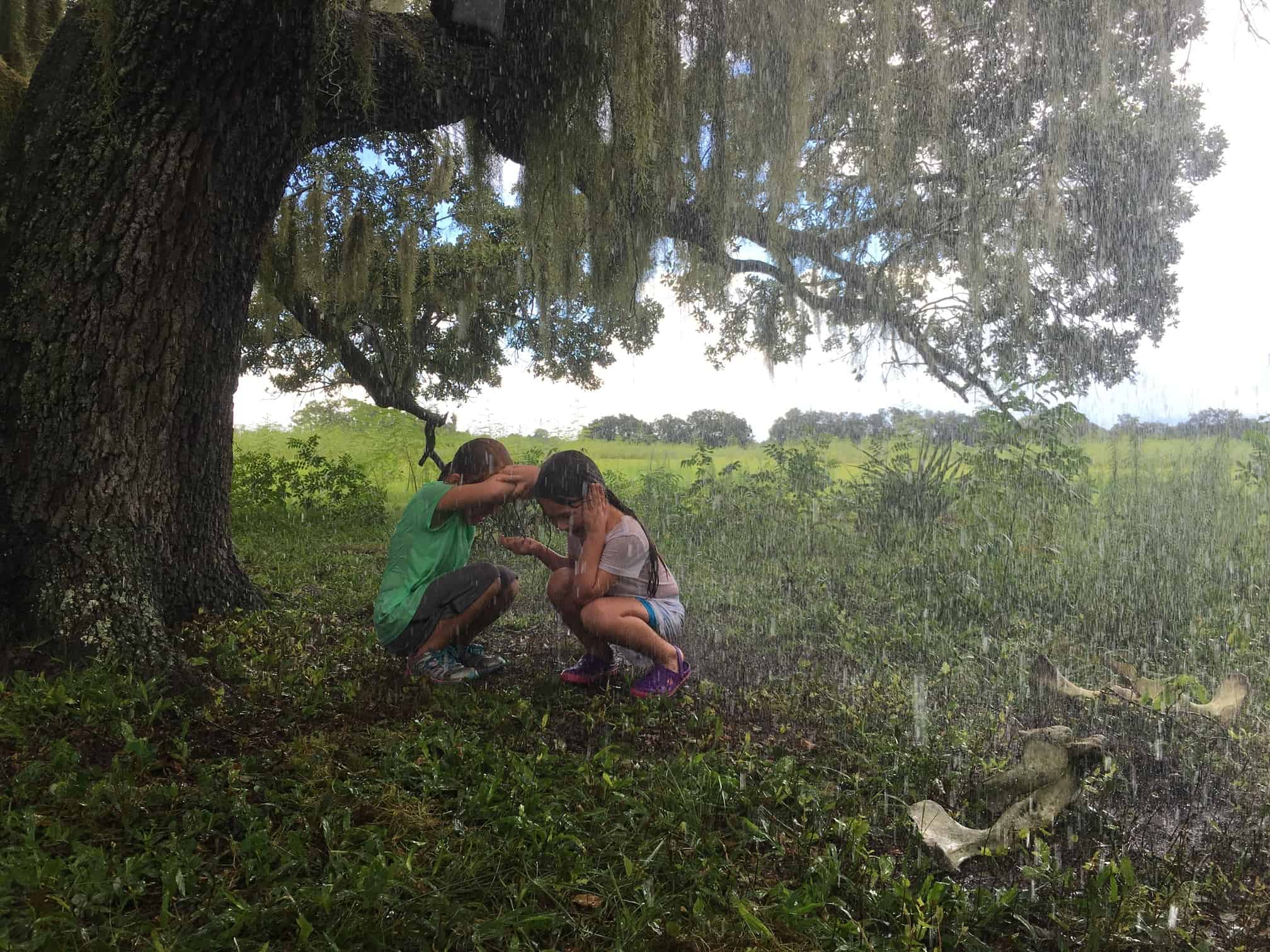 Two girls play in the rain under a willow tree in this image from Cre Film.