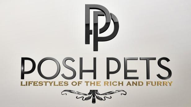 The “Posh Pets” title page in this image from HGTV