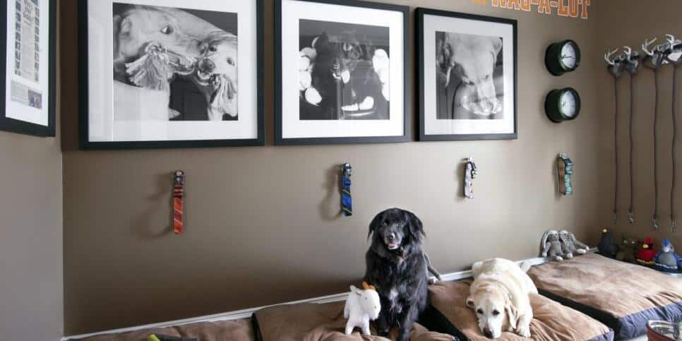  A mudroom designed for four pups to live cozily in this image from HGTV