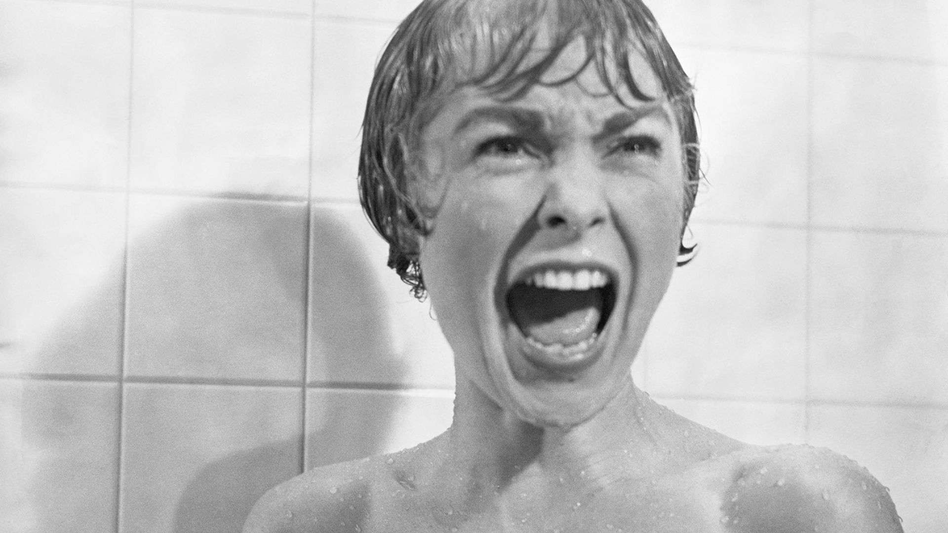 A woman screams in the shower in this image from Shamley Productions.