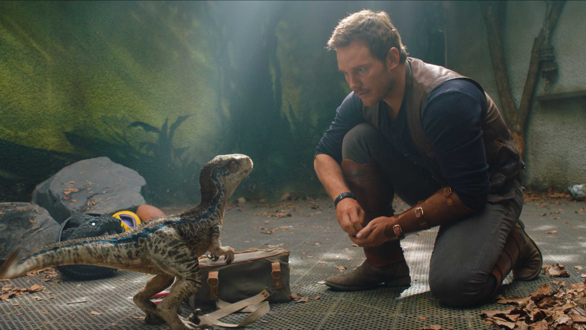  A man crouches while talking to a baby dinosaur in this photo from Amblin Entertainment.