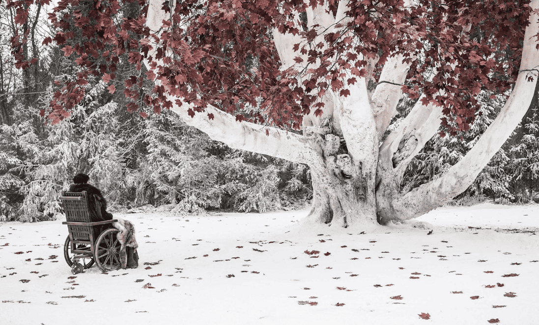 A man in a wheelchair gazes at a tree during the winter in this image from HBO Entertainment.