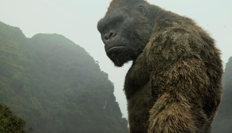 A huge ape stands in front of some mountains in this image from Legendary Pictures.