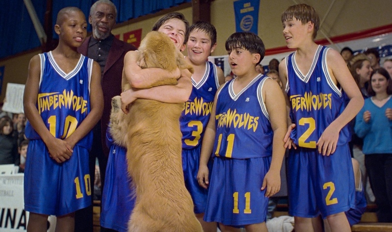 A boys basketball team embraces a dog in this image from Keystone Pictures.