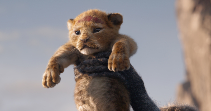 A CGI baby lion is held in the air in this image from Walt Disney Pictures.