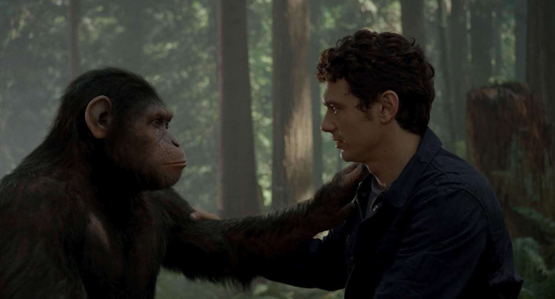 v An ape and a man touch each other’s shoulders in this image from Chernin Entertainment.