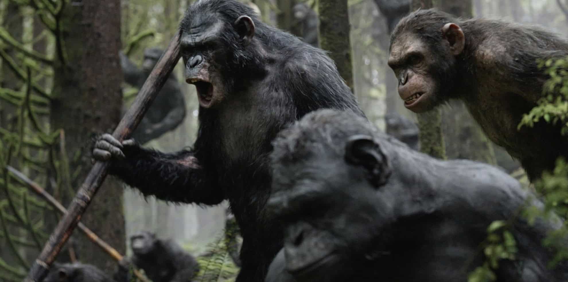 Three apes menacingly snarl in this image from Chernin Entertainment.